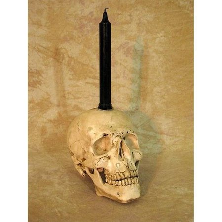 SKELETONS & MORE Skeletons & More DIS-325 Skull Candle Holder - Real Candle Not Included DIS-325